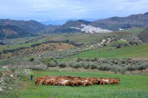 agamma ene20 118 (FILEminimizer)