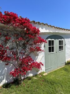 thumbnail IMG 8065 (FILEminimizer)