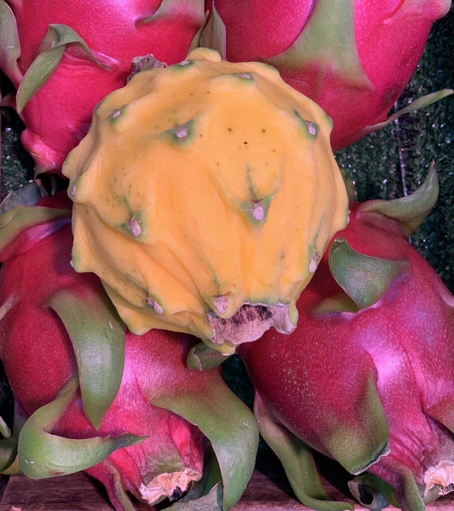 thumbnail IMG 9126 (FILEminimizer)