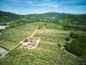 BODEGAS VALVERAN 048 DJI 0059 (FILEminimizer)