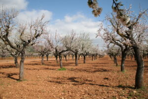 IMG 2566 (FILEminimizer)