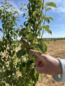 IMG 8665 (FILEminimizer)