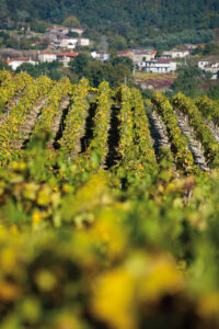 rb-galeria-38 (FILEminimizer)