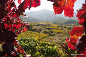 ribeiro-galeria-02 (FILEminimizer)