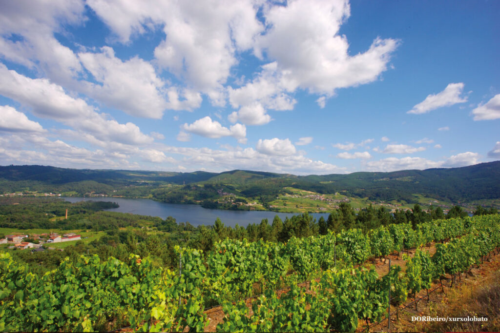 ribeiro-galeria-08 (FILEminimizer)