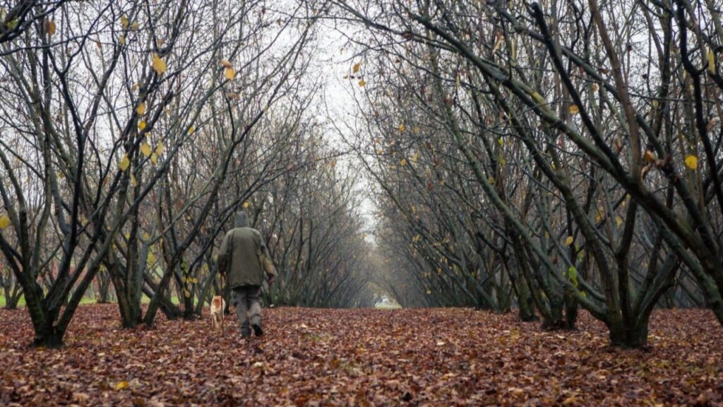 trufa (FILEminimizer)