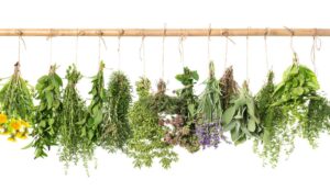 9BB4541D-2016-44ED-8DAE-B9781BE3210A