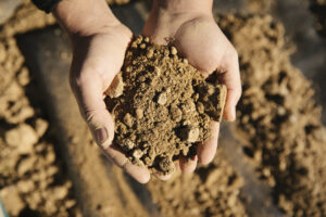 J&C Terroir (1) (FILEminimizer)