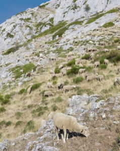 Puerto de las Pintas (Salamón) -JoseBarea8 (FILEminimizer)