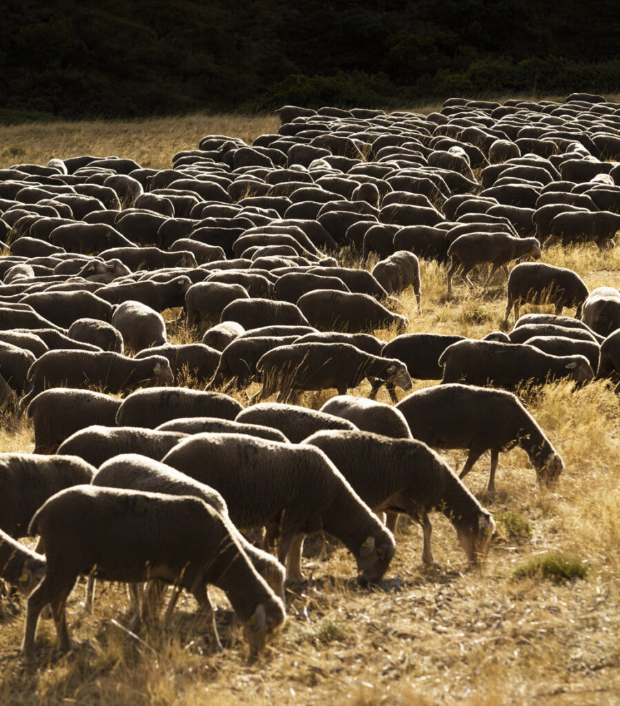 Valverde de la Sierra (José Manuel Sánchez Miguel)-JoseBarea5 (FILEminimizer)