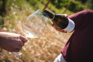 ENOTURISMO BIERZO LA REVELIA 2022--25 (FILEminimizer)