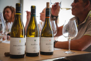 ENOTURISMO BIERZO LA REVELIA 2022--92 (FILEminimizer)