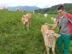 PHOTO-2024-11-04-19-55-29 (2) (FILEminimizer)