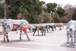 cow gallery (FILEminimizer)