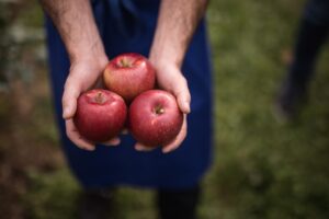 manzanas club (FILEminimizer)