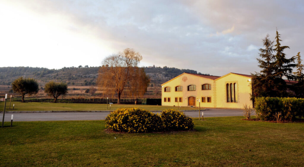 Bodega Mastinell (FILEminimizer)