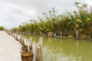 Mrwy4p1A (FILEminimizer)