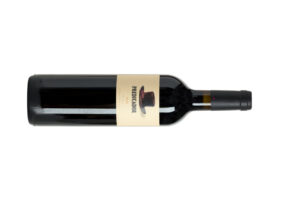 PREDICADOR TINTO 2022 (FILEminimizer)