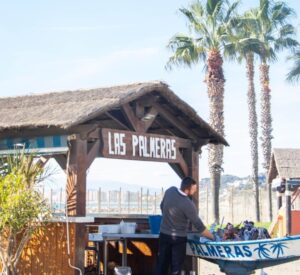 las palmeras (FILEminimizer)