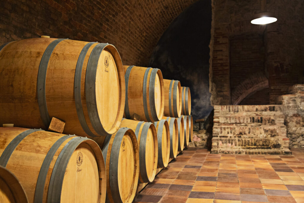 BODEGAS LEDA (FILEminimizer)