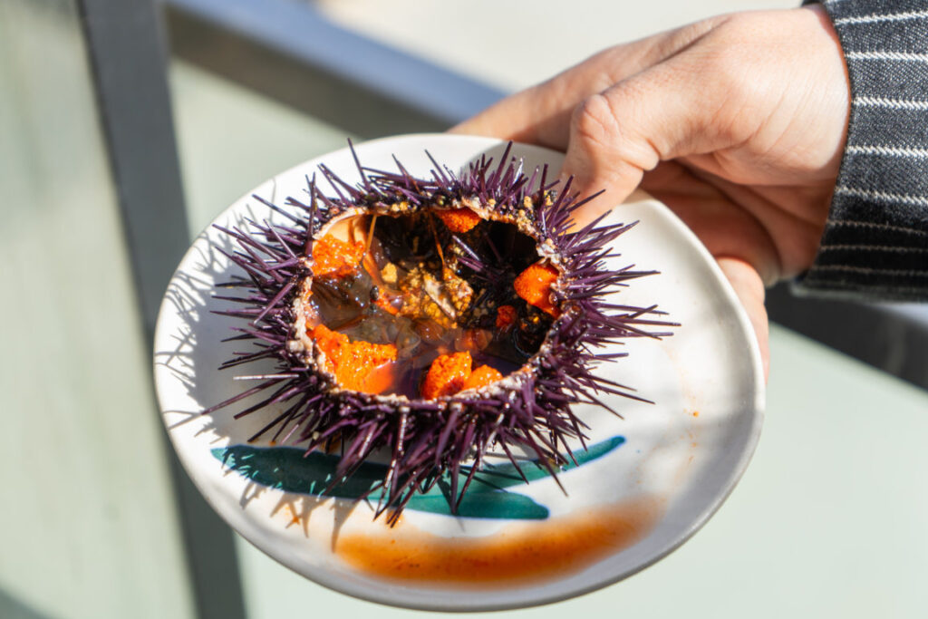 Foto3 Kresala (FILEminimizer)