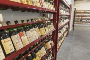 Museo Vino-Palacio del Cid (FILEminimizer) Museo Vino-Palacio del Cid (FILEminimizer)