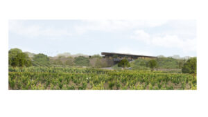 01.BODEGA Y VIÑEDOS la horra (FILEminimizer)
