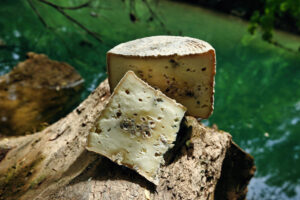 DSC 6866 (FILEminimizer)