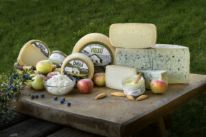 OXortical Bodegon OK (FILEminimizer)