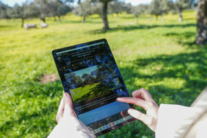 RSR2025-08578 (FILEminimizer)