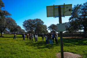 RSR2025-08603 (FILEminimizer)