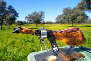 RSR2025-08659 (FILEminimizer)