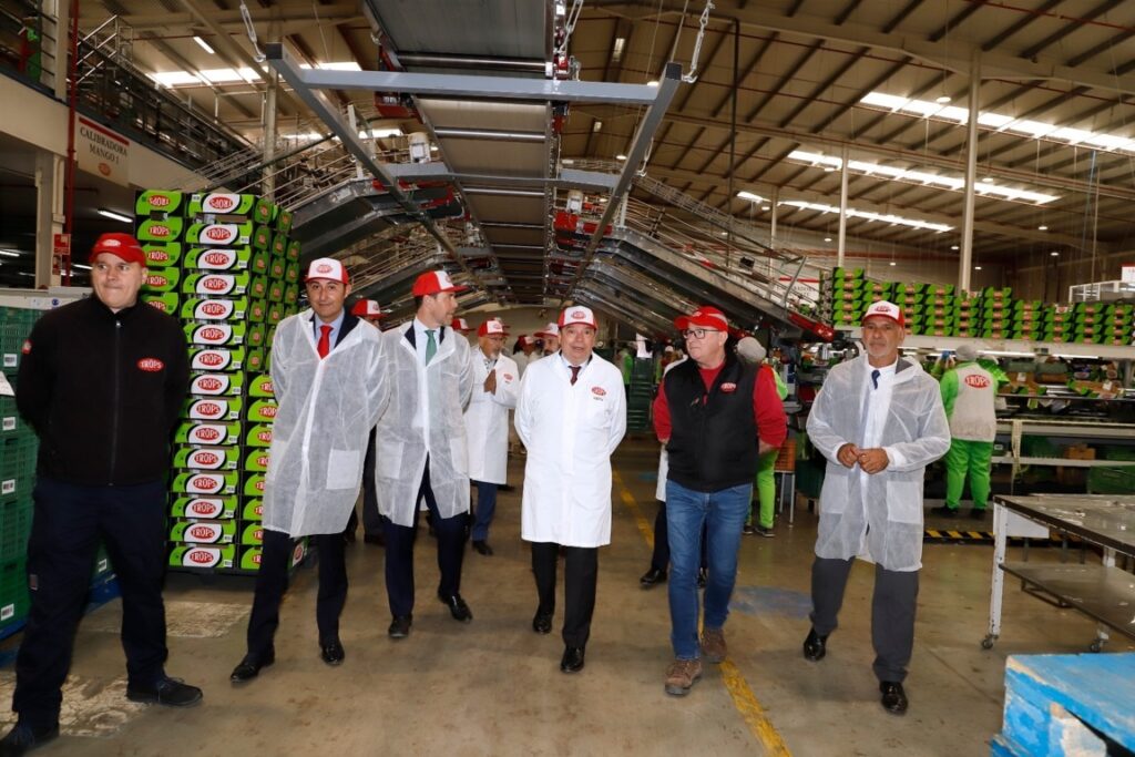 YDRAY-almacen (FILEminimizer)