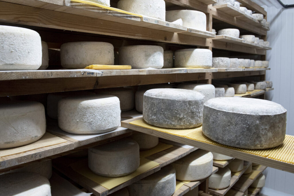 ruperto 2 (FILEminimizer)