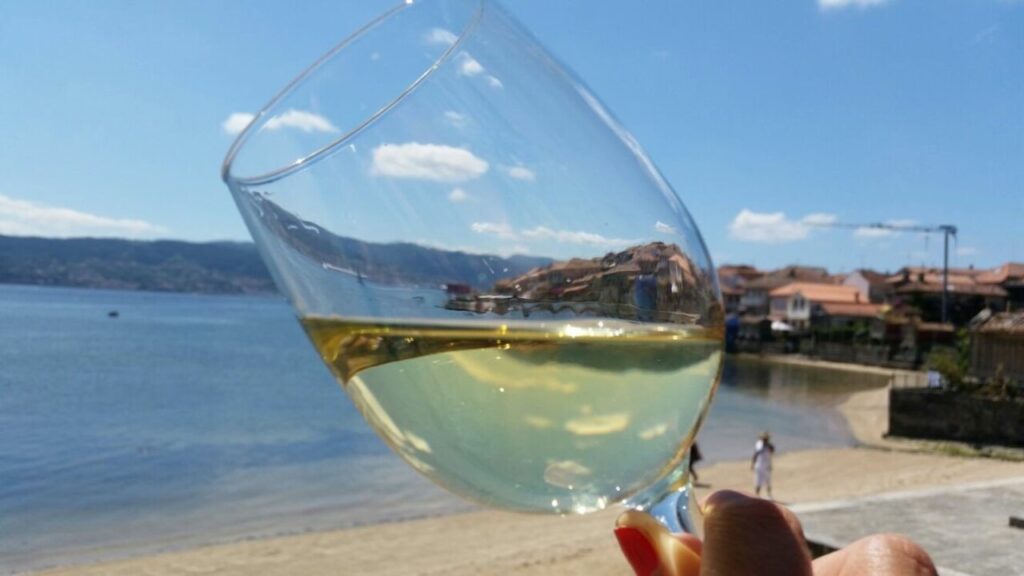 vinis terrae D.O. RIAS BAIXAS (FILEminimizer)