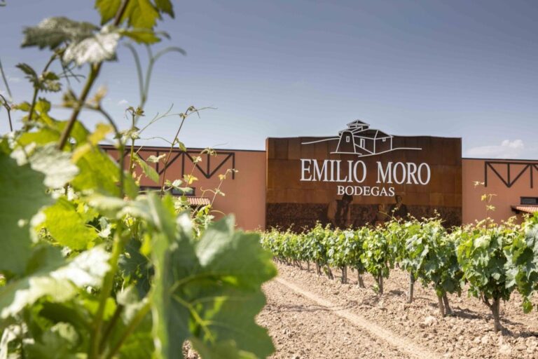 BODEGAS EMILIO MORO9-1-scaled (FILEminimizer)