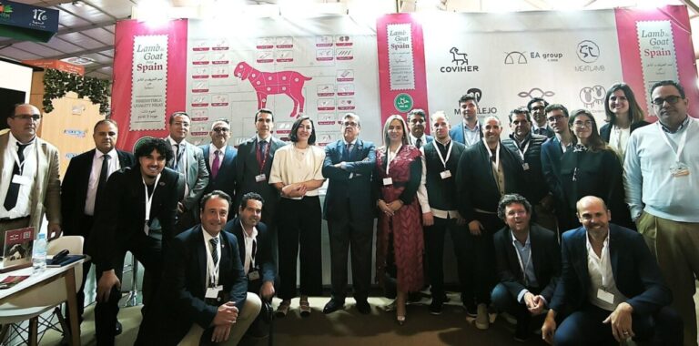 Interovic-en-Marruecos 1-scaled (FILEminimizer)