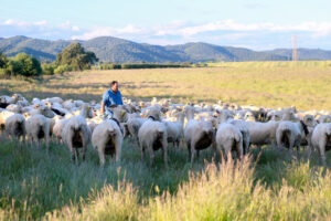 LAS-ALBAIDAS-PASTOREO-27 (FILEminimizer)