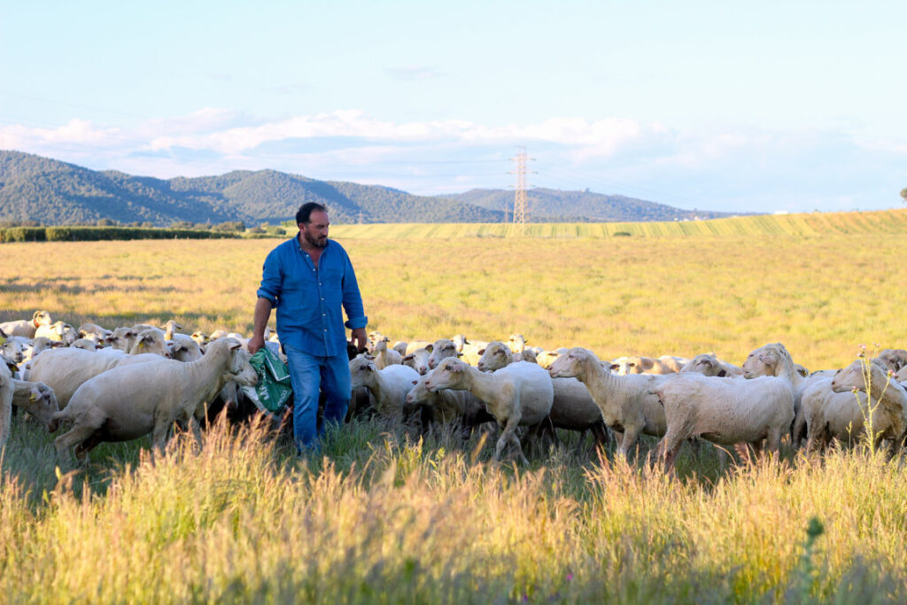 LAS-ALBAIDAS-PASTOREO-29 (FILEminimizer)