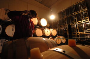 Ayerbe. Bodegas Edra. Batonnage (FILEminimizer)