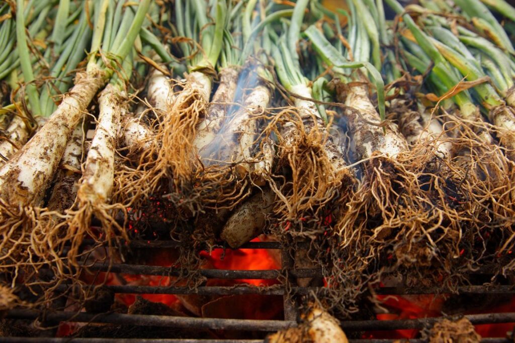 Calçots brasa, Cataluña Región Mundial de la Gastronomía 2025 (FILEminimizer)