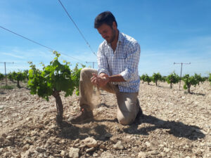 Lanaja. Bodega El Vino del Desierto. Fernando en la viña. jpg (FILEminimizer)