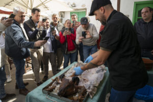 Terrae 0144 (FILEminimizer)