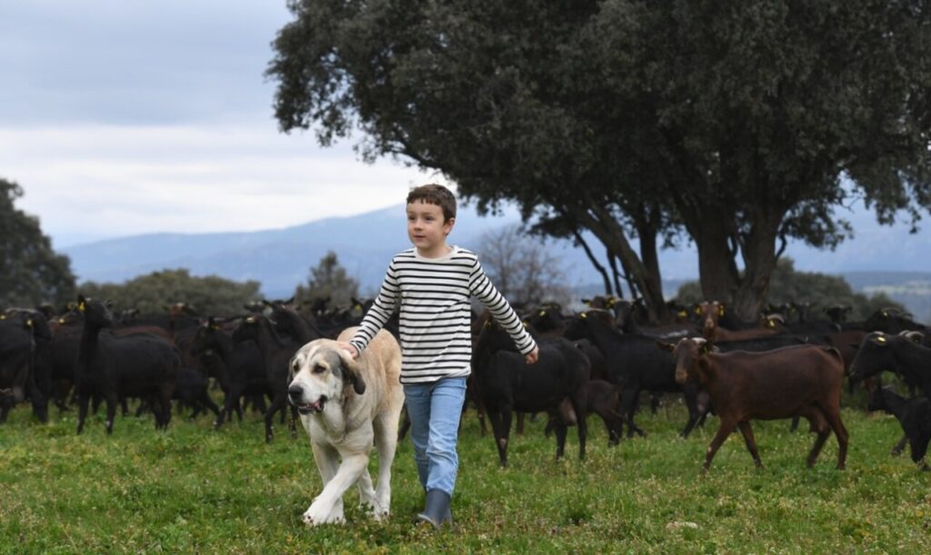 protagonistaSpotTV (FILEminimizer)