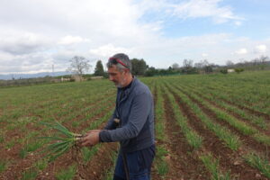 tarragona y manchuela 149 (FILEminimizer)