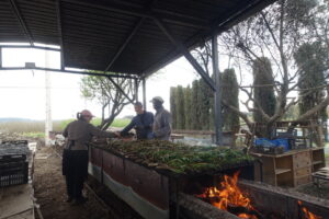 tarragona y manchuela 155 (FILEminimizer)