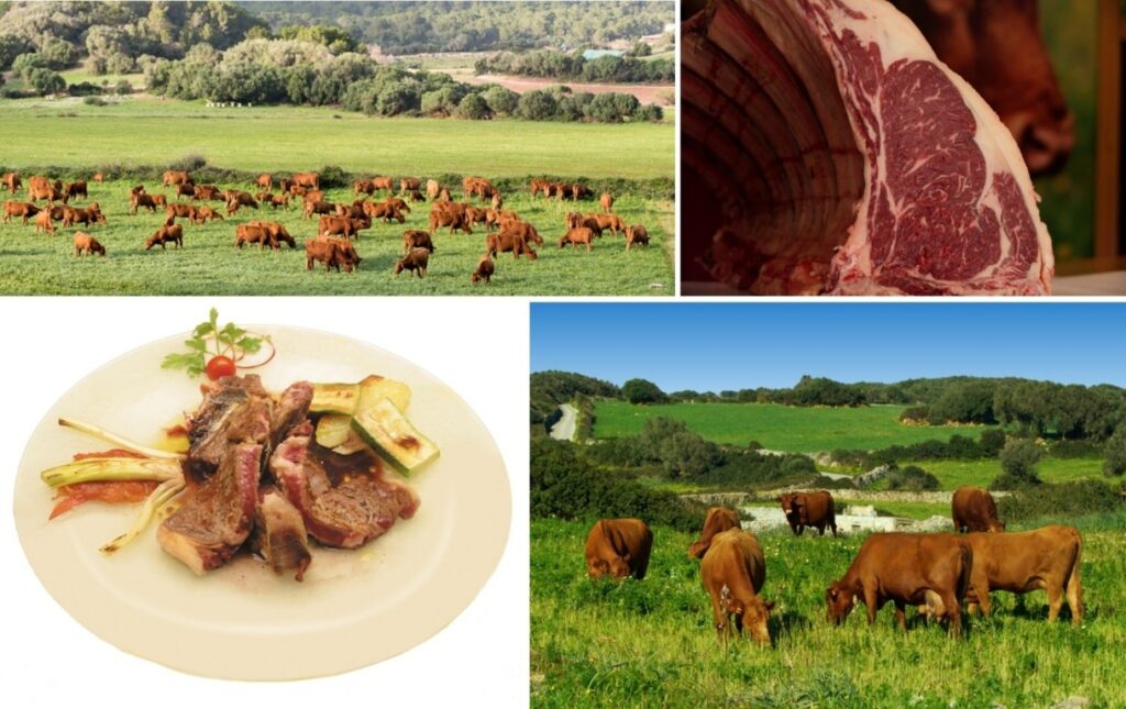 vermella de Menorca (FILEminimizer)