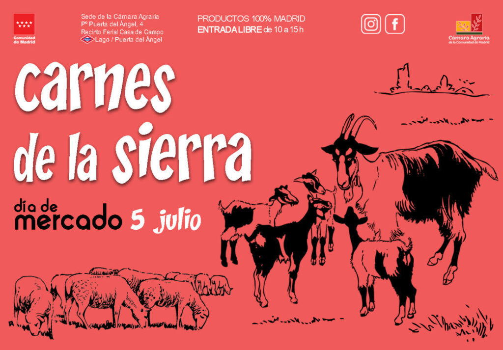 2025 convocatoria dia mercado 07 julio (FILEminimizer)