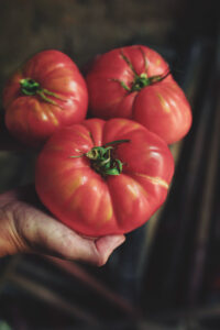 ARAGONSABORDEVERDAD TOMATE (FILEminimizer)