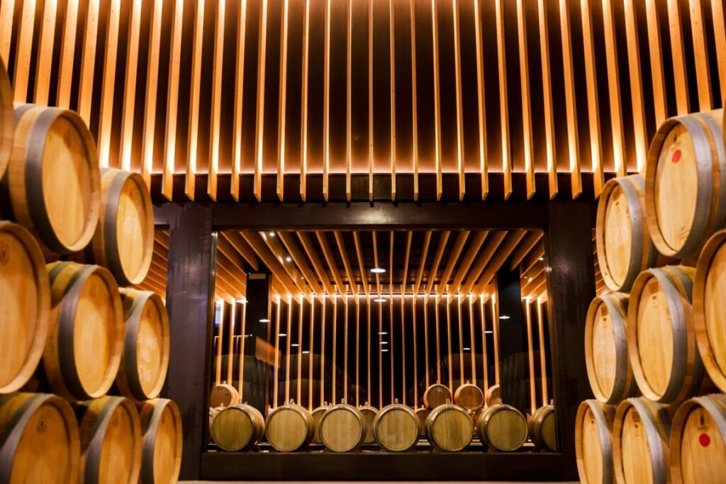 BODEGAS Y VIÑEDOS DEL MARQUÉS DE VARGAS (FILEminimizer)